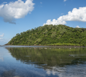 Daintree Rainforest in Australia