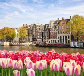 Amsterdam in Spring