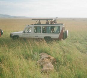 Safari in Kenya