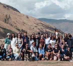 Contiki group with farm animals in New Zealand