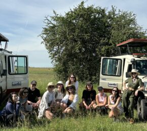 safari in Maasai Mara in Kenya