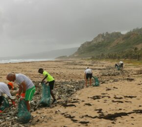 ocean clean up efforts