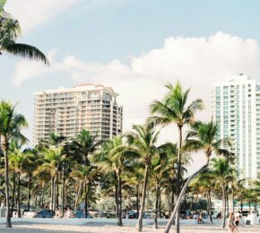 palm trees and buildings along white sands of Miami beach