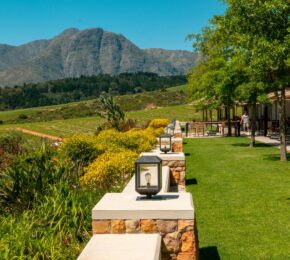 Stellenbosch vineyards in South Africa
