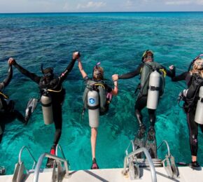 travellers hopping into the water to scuba dive