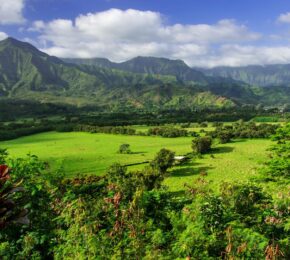 views overlooking the lush greenery of Kauai in Hawaii