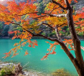fall foliage over river in Arashiyama near Kyoto, Japan