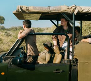 Contiki travellers on a game drive safari in Kruger National Park