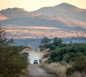 car driving down game drive roads at Pilanesberg