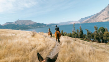 New Zealand Panorama