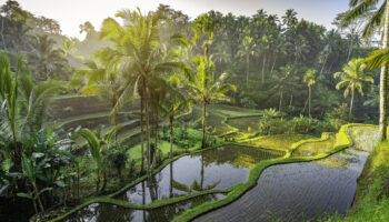 Bali Island Hopping