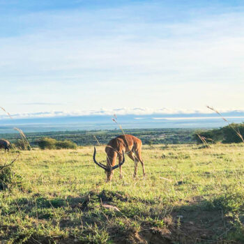 11 interesting facts about Kenya