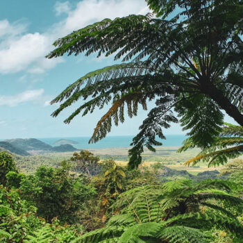 Day in the life of… Bridget Lawton on the Contiki Daintree Experience