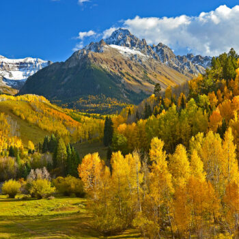 Where to go and when to experience seasonal nature at its best