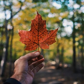 12 Best Staycations in Canada