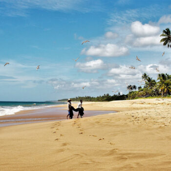A trip to Sri Lanka changed my attitude to sustainability