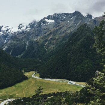 I’m a Kiwi who went on a New Zealand Contiki. Here’s why