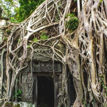 If you’re thinking about a trip to Cambodia, this story will seal the deal