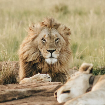 20 of the most iconic things to do in South Africa