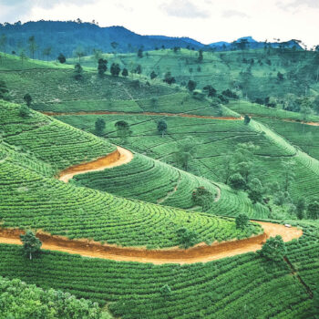 8 best reasons to visit Sri Lanka