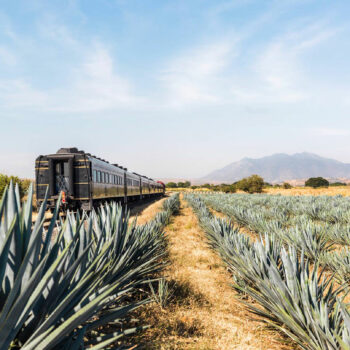 There’s an all-you-can-drink tequila train travelling through Mexico