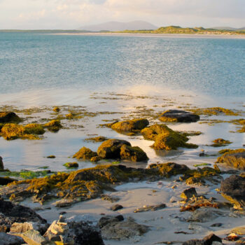 The best wild swimming spots near Edinburgh
