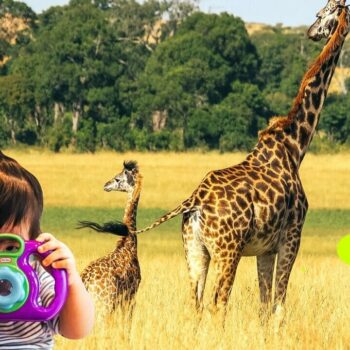Seize the daycare: Introducing social travel… for toddlers