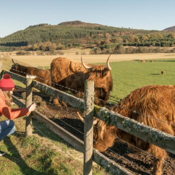 ‘Loved by generations, cared for by you’: an interview on behalf of the Rothiemurchus wildlife
