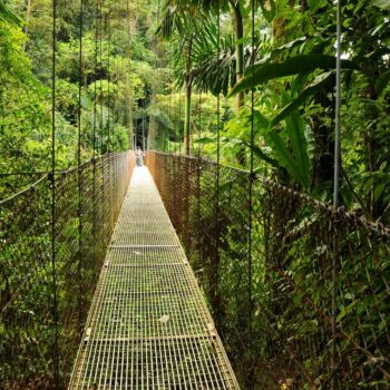 Pura Vida paradise: 10 best national parks in Costa Rica
