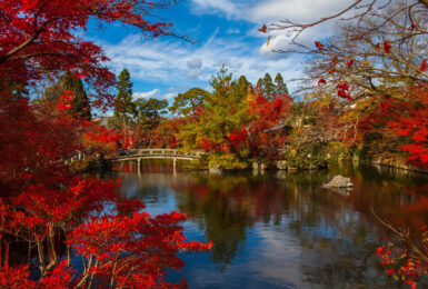 autumn-japan