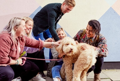 A group of Contiki Trip Managers petting a dog in front of a colorful wall.