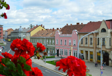 Red flowers in a pot for Budapest day trips.