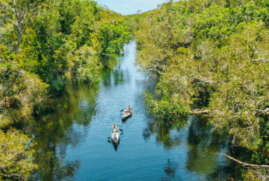 Canoe in Australian Everglad