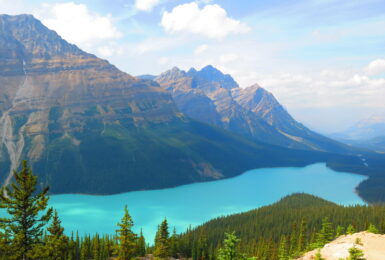 Image of Lake Peyto - Canada and the rockies