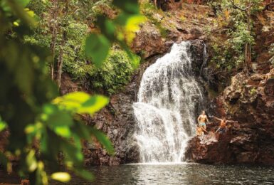 A forest with a waterfall.