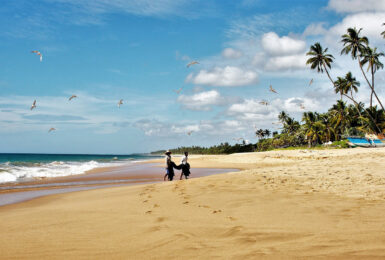 Plastic-crisis-Sri-Lanka