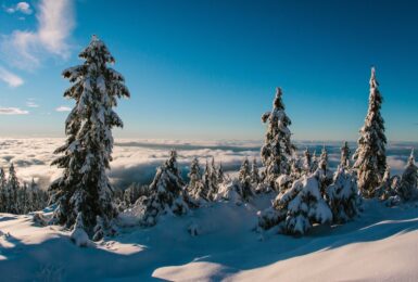 Things to do in Whistler: Snow covered mountain.