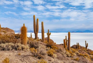 Bolivia, South America