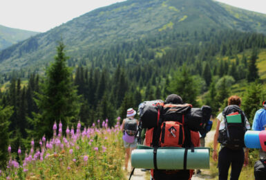 Travel Backpack