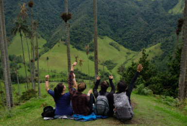 A group of people sitting on top of a hill with palm trees in the background during a Colombia travel.