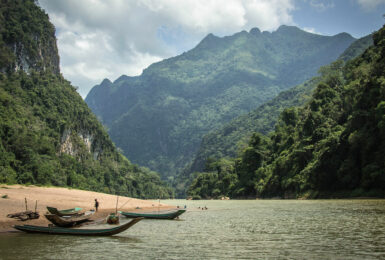 laos tree alliance