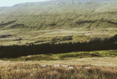 Sligo, Ireland - Normal People location