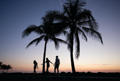 A group of people standing under palm trees, capturing one of the most Instagrammable places in Miami at sunset.