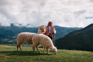 man in traditional andean clothing with llamas in peru