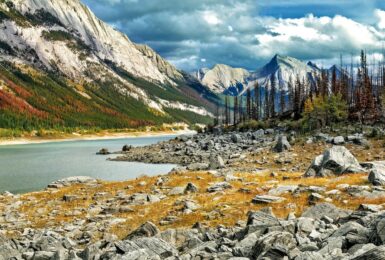 Jasper National Park