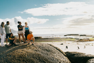 group of travellers on boulders beach looking at african penguins