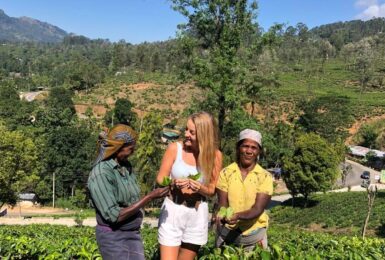 women farming tea leaves in Sri Lanka