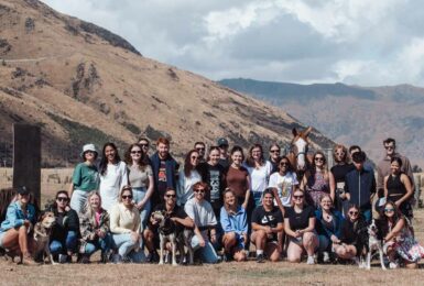 Contiki group with farm animals in New Zealand