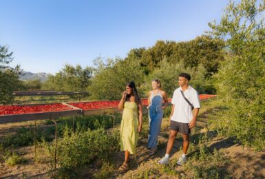 travellers in Albania on farm