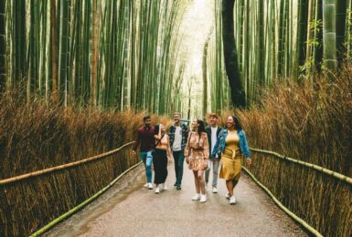 Contiki travellers in Japan